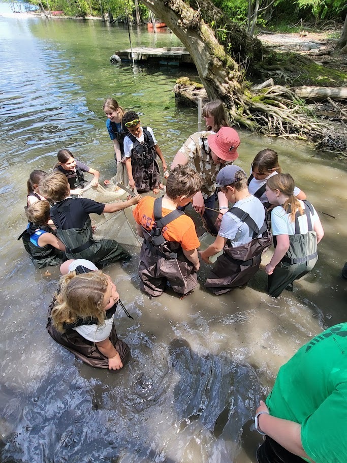 A group of students wearing chest waders stand together in shallow lake water during an outdoor science activity. The students gather around a large net while instructors help them explore and observe aquatic life near the shoreline under shady trees.