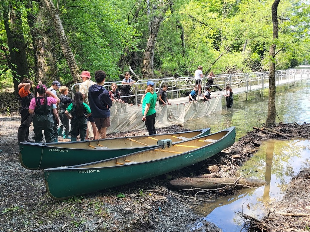 Students wearing chest waders stand along the edge of a lake and a boardwalk while holding a large seine net in the water. Two green canoes rest nearby on the shore surrounded by trees.