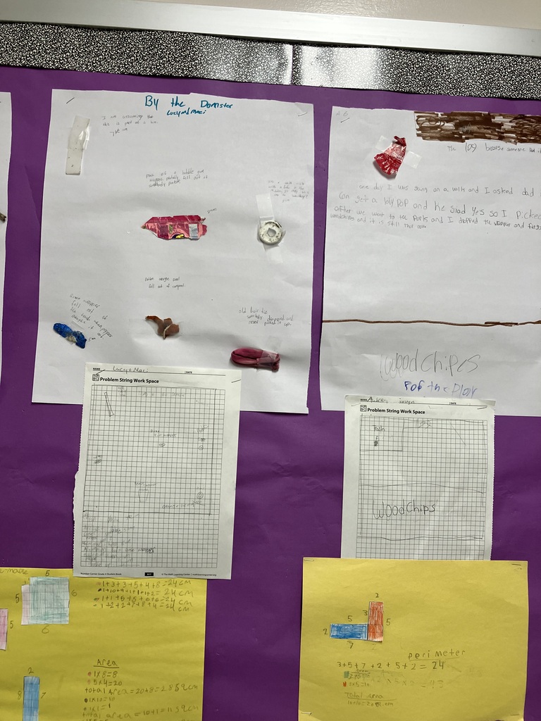  A close-up photograph of a white poster board attached to a purple wall, created by elementary students studying litter found near a school. Taped to the upper portion of the poster are physical objects: a used Band-Aid, a large wood chip, and a small strip of white plastic. Handwritten notes around the objects explain their origins, such as "Band aie: came from someones hand, helps people with cuts" and "wood chip: came from a tree; use for paper." Red marker in the center reads "Dumpster north side of school." Stapled to the bottom of the poster is a grid-lined worksheet titled "Problem String Work Space," filled out with a hand-drawn map labeling where items like trash, rocks, and wood chips were discovered. 