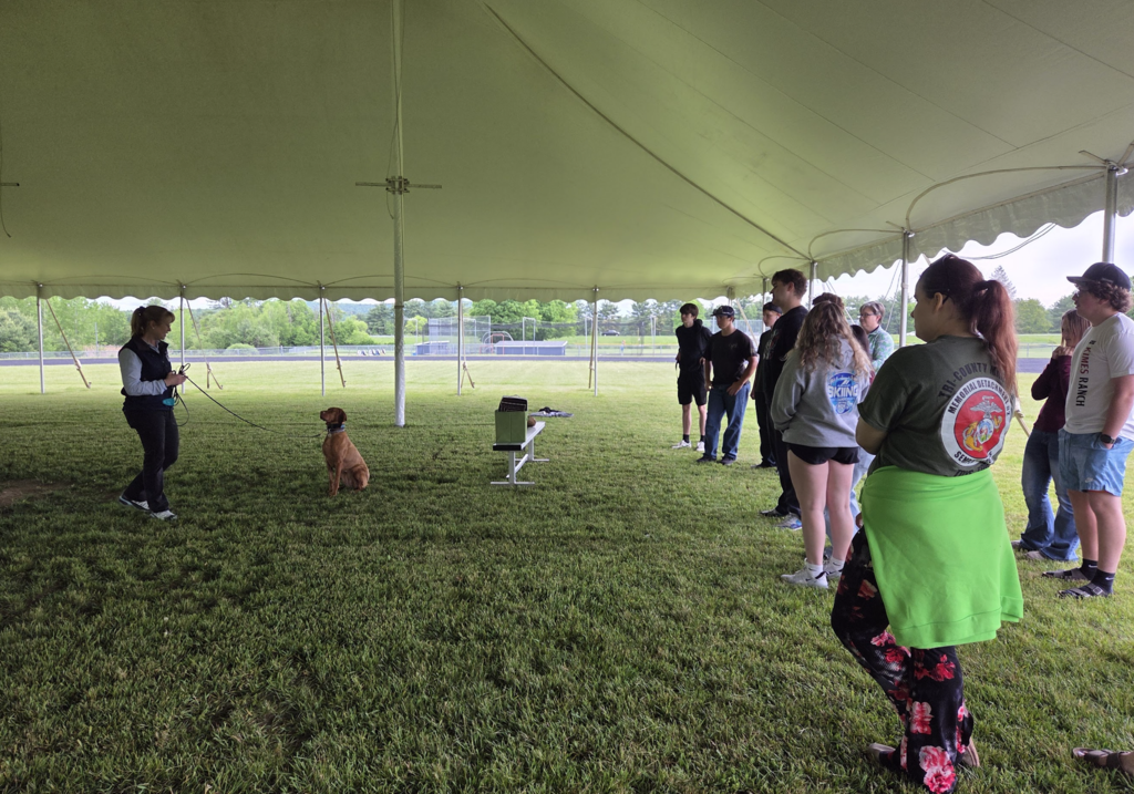 Law Enforcement and Career Exploration students watch as Kristie Adams explains dog training and scent-detection work while Stevie sits beside her under a large outdoor tent.