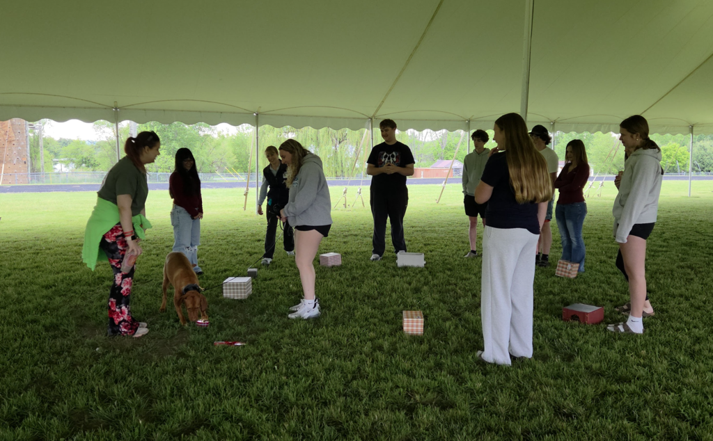 A student participates in a scent-detection exercise as Stevie searches among several boxes on the grass while classmates observe the demonstration under a large tent.