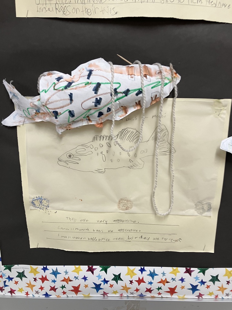 A close-up of a student project about the smallmouth bass on a black bulletin board. It displays a detailed pencil sketch of a bass on a beige sheet of paper, with handwritten notes below reading "They are very aggressive." Pinned over the top is a crinkled, three-dimensional paper fish sculpture decorated with markers, wrapped loosely in gray yarn.