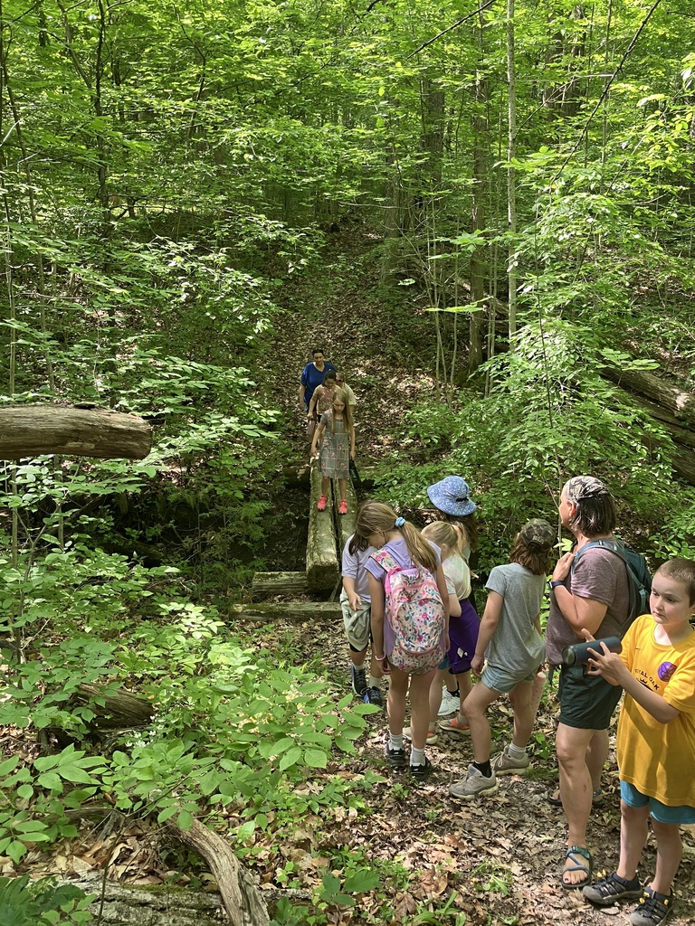 Four people, seen from behind, hike along a narrow dirt trail surrounded by a dense, green forest during the day. One person in the center wears a bright orange backpack.