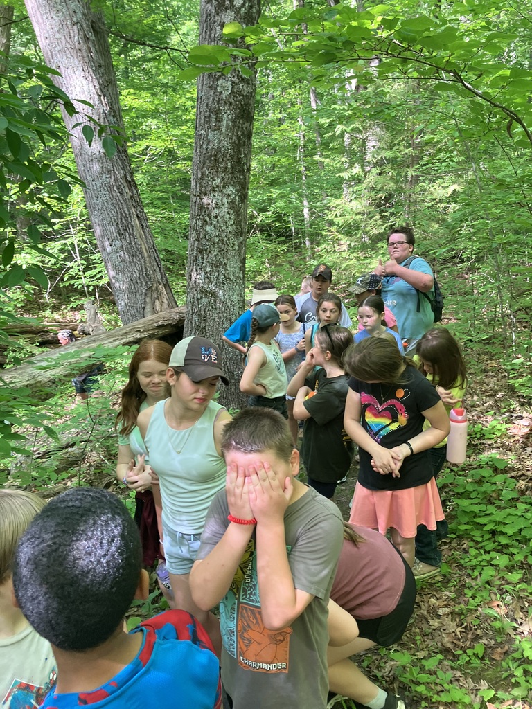 A group of children and two adults gather on a wooded trail during a nature hike. The children stand among tall trees and dense green foliage, listening and talking while taking a break. One child in the foreground covers their face with their hands, while others look around the forest. Sunlight filters through the tree canopy, creating dappled light across the trail and surrounding vegetation.