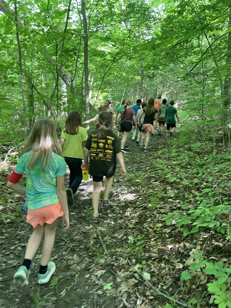 A large group of children and a guide hike in a single-file line up a dirt trail, viewed from behind, surrounded by a dense green forest.