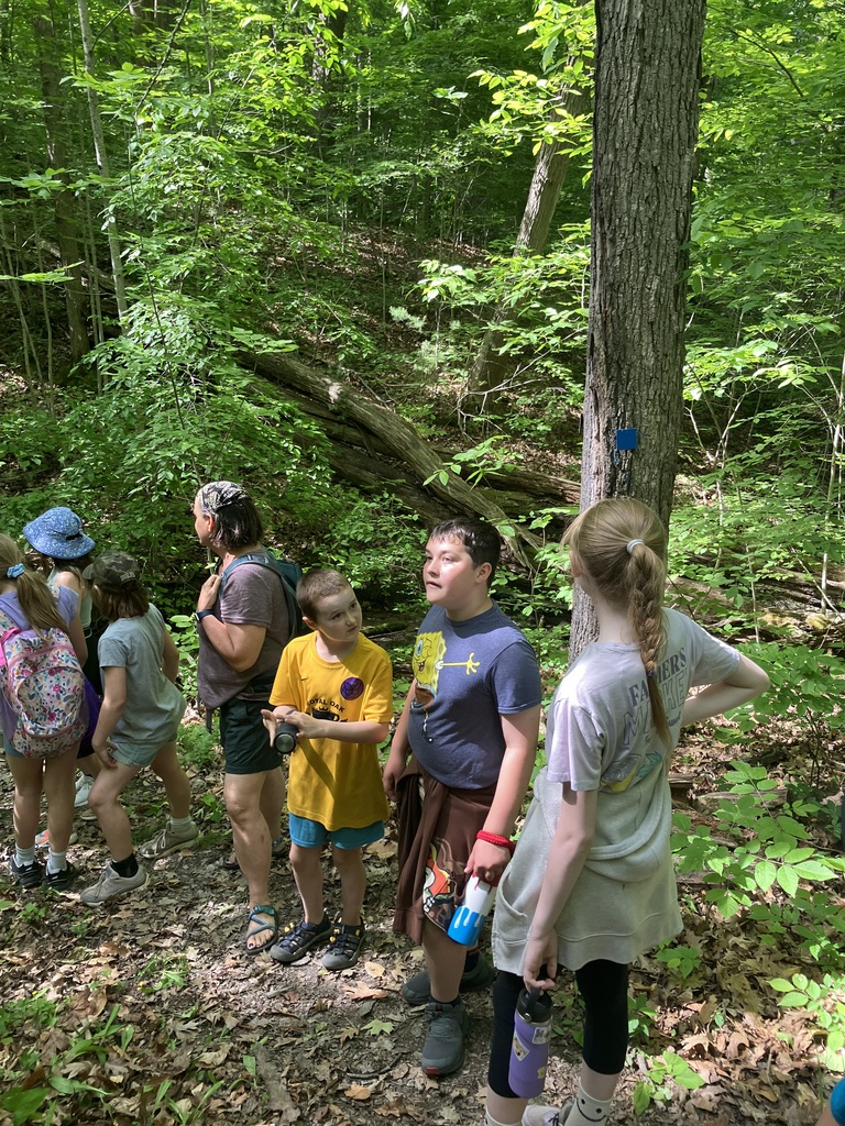 A group of children and an adult hike through a lush green forest. Several children wait near a small stream while others carefully cross a narrow log bridge. The wooded trail is shaded by dense leafy trees, with fallen logs and undergrowth surrounding the path. Sunlight filters through the canopy, creating a peaceful outdoor scene.