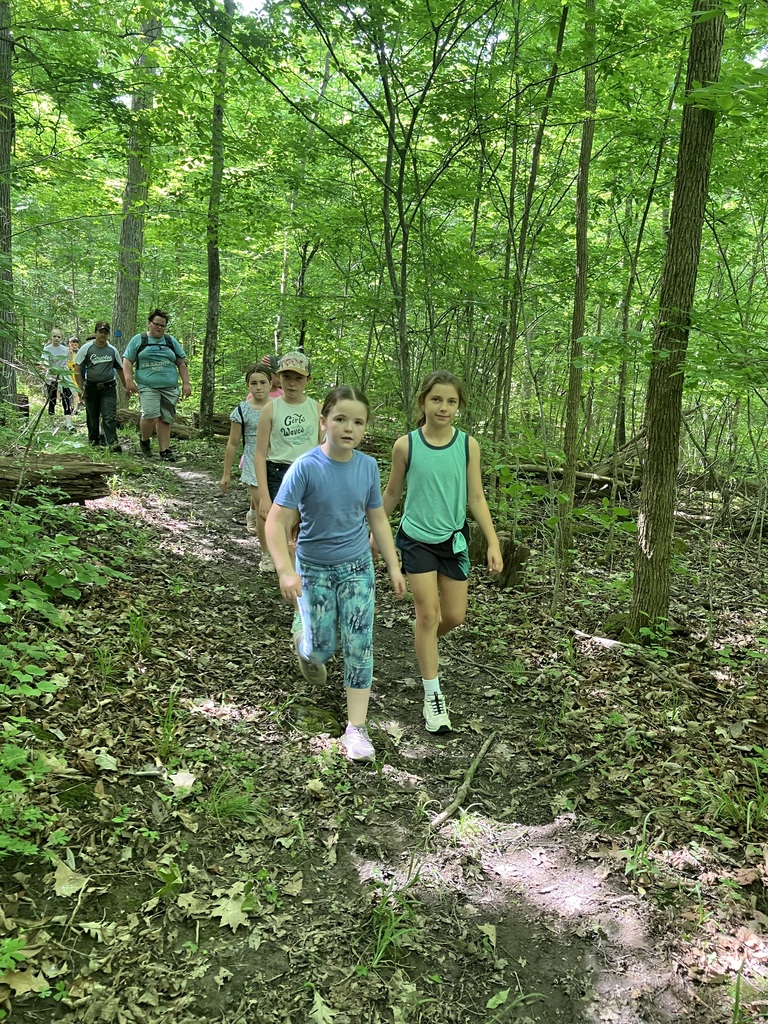 A group of children hike forward along a dirt trail scattered with leaves, surrounded by a dense, sunlit green forest.