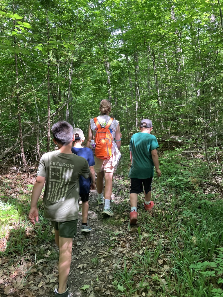 Four people, seen from behind, hike along a narrow dirt trail surrounded by a dense, green forest during the day. One person in the center wears a bright orange backpack.