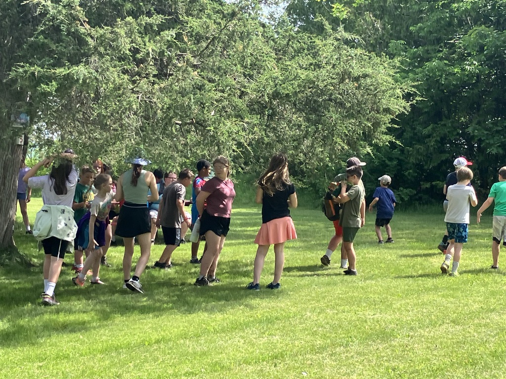  A wide shot of a group of children and counselors hanging out in a vibrant green grassy field on a sunny day. They are clustered near a large, shady evergreen tree. The kids are dressed in colorful activewear and summer clothing, spread across the lawn. 
