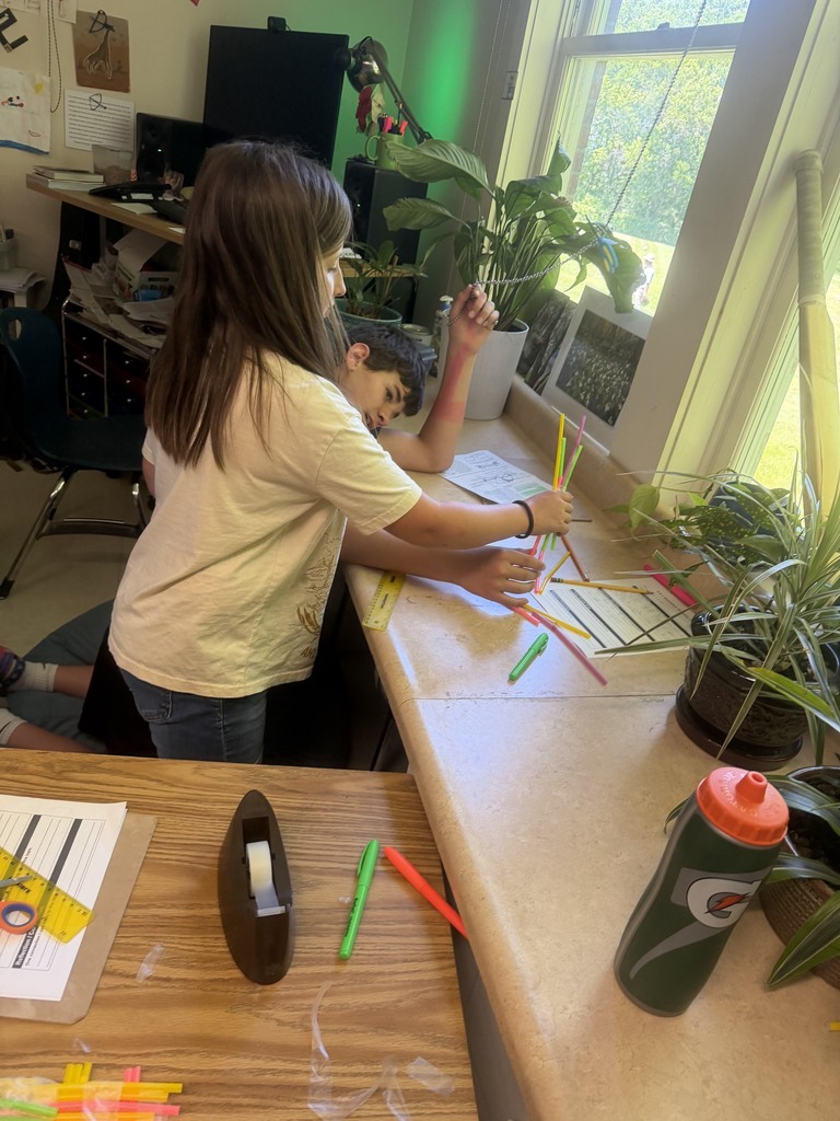 Two students work at a counter near classroom plants and a window, carefully balancing colorful straws as they build a freestanding structure.