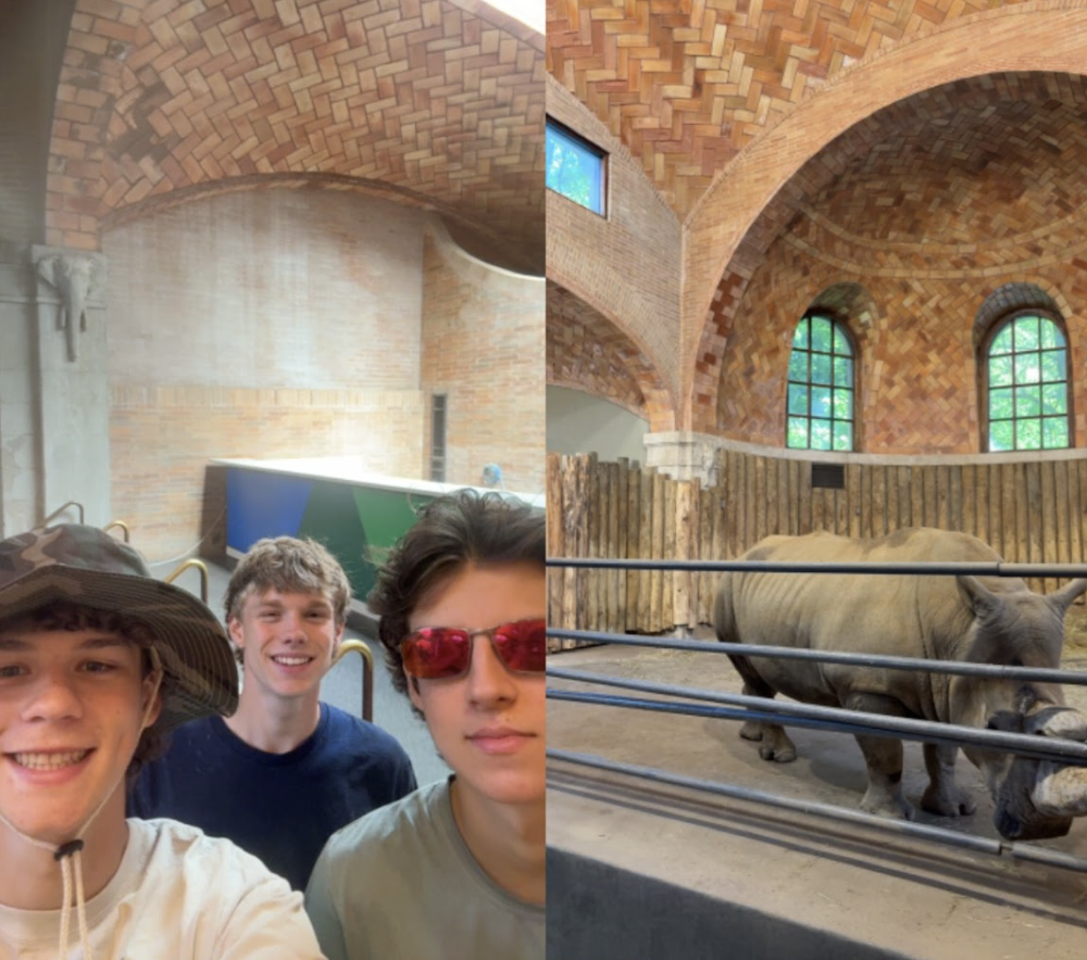 Split image showing three students posing for a selfie inside a zoo exhibit building on the left and two rhinoceroses standing inside their habitat on the right.