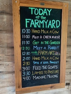 A chalkboard schedule at Shelburne Farms lists the day's farmyard activities, including hand-milking a cow, meeting a cheesemaker, feeding goats, lamb pasture visits, and machine milking demonstrations.