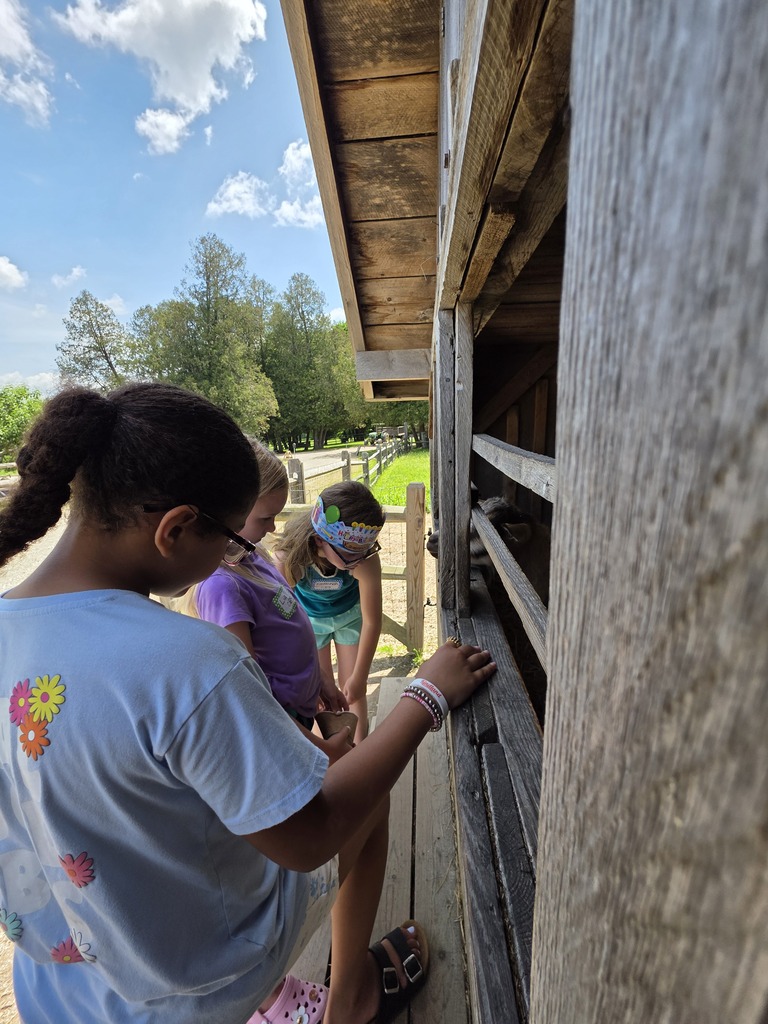 Three students stand along a wooden livestock enclosure, looking through the slats to observe farm animals inside the barn.