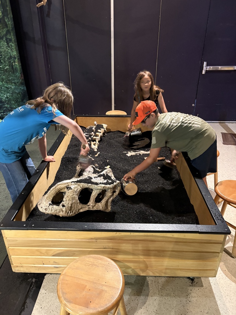A high-angle shot of a museum fossil dig activity. A boy wearing an orange baseball cap and a green T-shirt, along with two girls, are using brushes and small metal buckets to uncover a large, white dinosaur skull replica buried in black sand inside a wooden bin. Safari Vehicle Photos