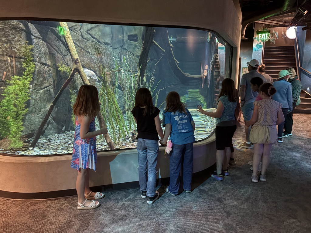 A group of children and adults stand along a large, curved panoramic aquarium viewing window. The tank is styled like a riverbed habitat with tall reeds, smooth river stones, submerged logs, and large fish swimming through the water.
