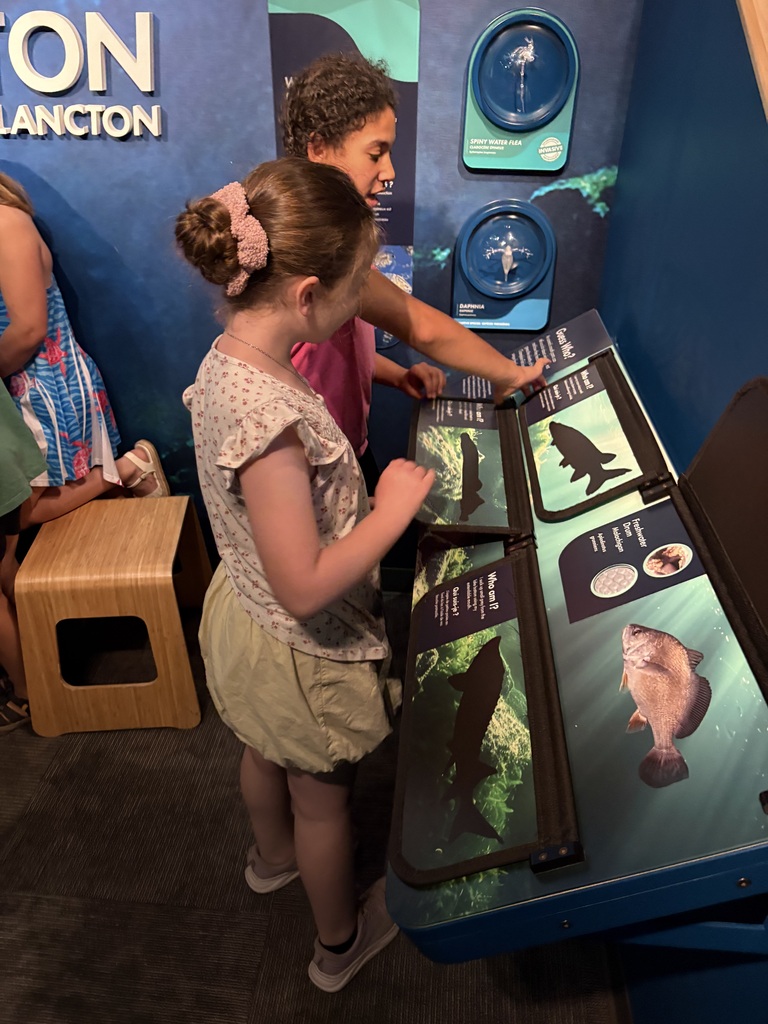 A young girl with her hair in a bun and a teenager look at an interactive "Guess Who?" museum display about aquatic life. The display features flip-up panels with fish silhouettes on top and detailed photos and information underneath. Dinosaur Exhibit Photos
