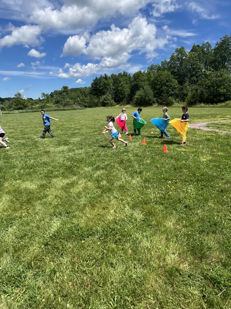 Four young children stand in a grassy field lined up behind orange cones, each stepped inside a brightly colored, oversized fabric sack (pink, green, blue, and yellow) preparing for a race. IMG_6228.jpg: Children participate in a field day game on a large grassy lawn, some wearing colorful giant sacks while others throw and catch a beach ball.