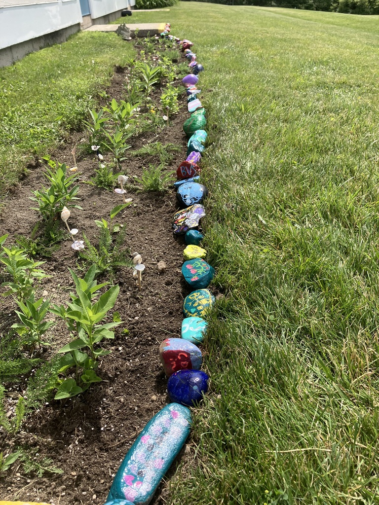 A ground-level, lengthwise view of a long garden border made of unique, hand-painted rocks, creating a "rock snake." The rocks feature various bright colors, patterns, and initials like "BVS." The rock line stretches far into the distance, separating a freshly dirt-filled butterfly garden bed with young green plants from a wide, open green grass lawn.