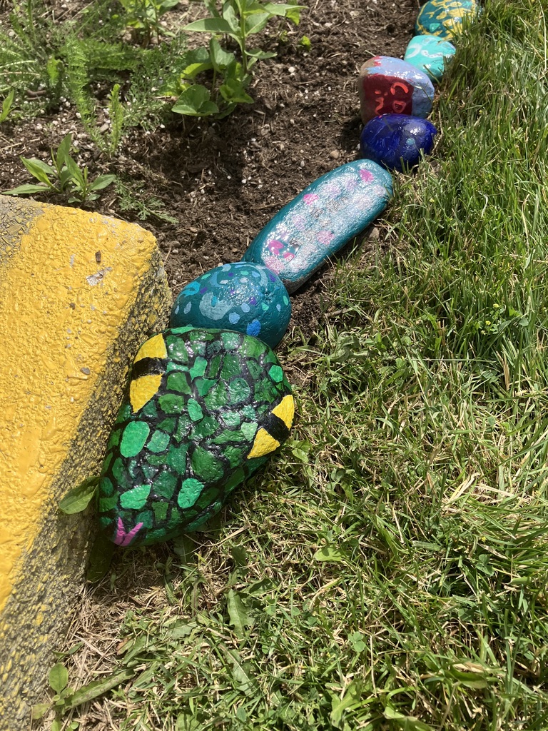 A close-up shot of the head and front section of a painted "rock snake" lining a garden bed. The lead rock is meticulously painted green with black outlines to mimic snake scales, featuring bright yellow and black eyes and a small pink tongue at the tip. Behind it, a line of individually painted rocks extends into the background, including a speckled blue rock and a long teal rock with pink and white designs.