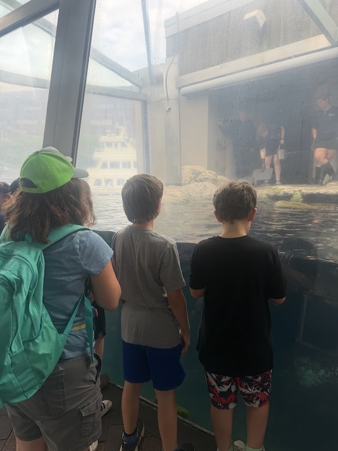 Students stand in front of a large aquarium viewing window, watching marine animals in a rocky exhibit while aquarium staff prepare a presentation in the background.