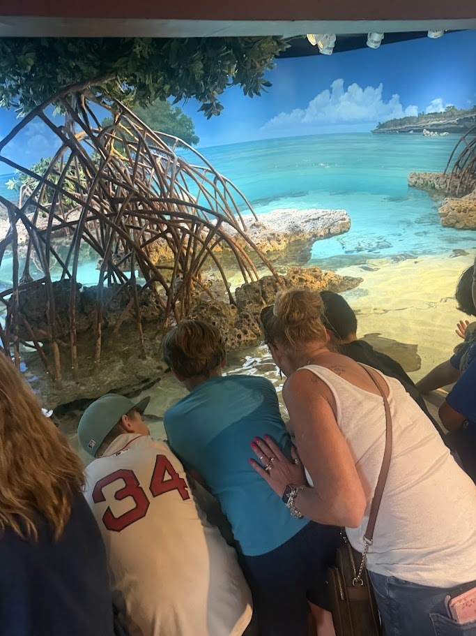 Students and an adult chaperone lean over a touch tank exhibit, observing marine animals in a coastal-themed aquarium display featuring mangrove roots and a tropical shoreline backdrop.