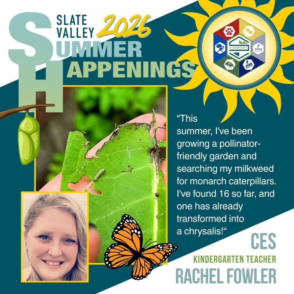 Graphic titled "Slate Valley 2026 Summer Happenings" featuring Castleton Elementary School Kindergarten Teacher Rachel Fowler. A large photo shows a tiny monarch caterpillar crawling on a green milkweed leaf with visible feeding marks. A portrait of Rachel appears in the lower left corner. Text reads: "This summer, I've been growing a pollinator-friendly garden and searching my milkweed for monarch caterpillars. I've found 16 so far, and one has already transformed into a chrysalis!" Decorative illustrations of a monarch butterfly and a green chrysalis appear on the graphic. The Slate Valley logo is displayed inside a bright yellow sun in the upper right corner, and the bottom of the graphic identifies Rachel as a CES Kindergarten Teacher.