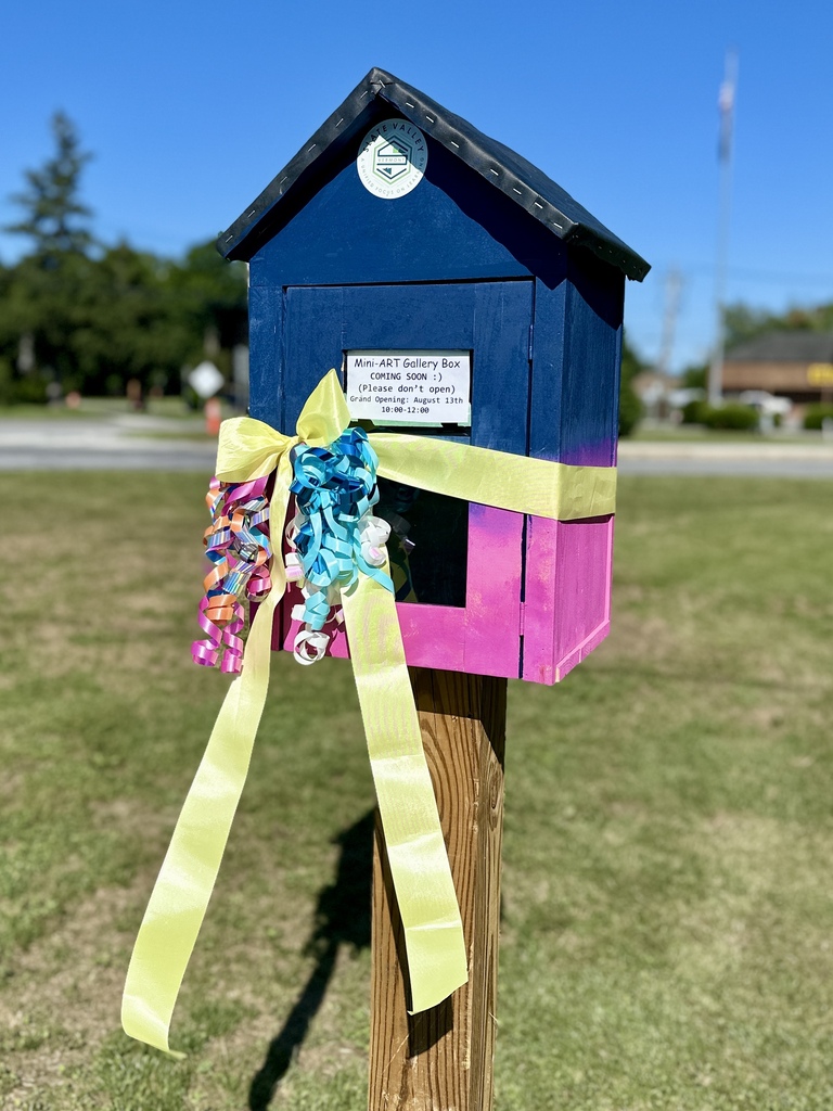 Close-up of the Slate Valley Community Mini Art Gallery mounted on a wooden post in Fair Haven Park. The small gallery is painted navy blue and bright pink with a black roof and is wrapped with a large yellow ribbon and colorful curling bows for its grand opening. A sign on the front reads, "Mini-ART Gallery Box Coming Soon! Grand Opening: August 13th, 10:00–12:00."