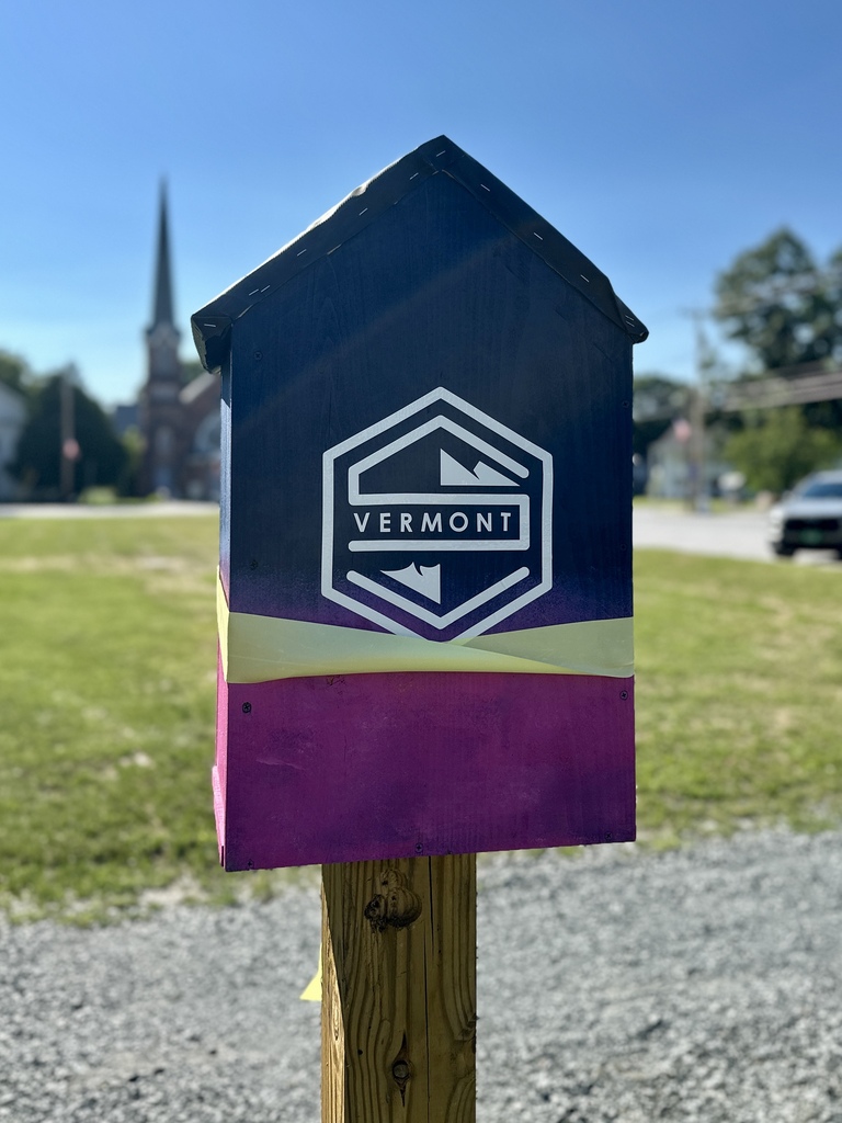Rear view of the Slate Valley Community Mini Art Gallery mounted on a wooden post. The back of the gallery features a large Vermont logo on a navy blue background with a bright pink lower half and a yellow ribbon wrapped around it. A church steeple and park landscape are visible in the softly blurred background.