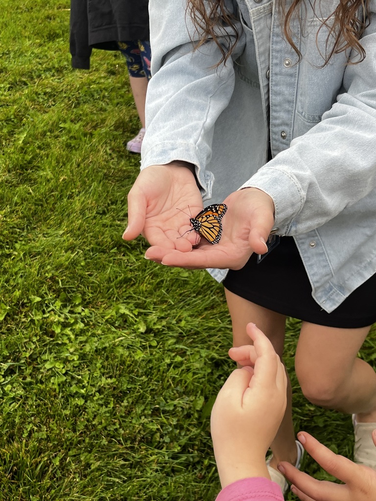 Close-up of a person holding a Monarch butterfly in their cupped hands outdoors while another person reaches out toward it.