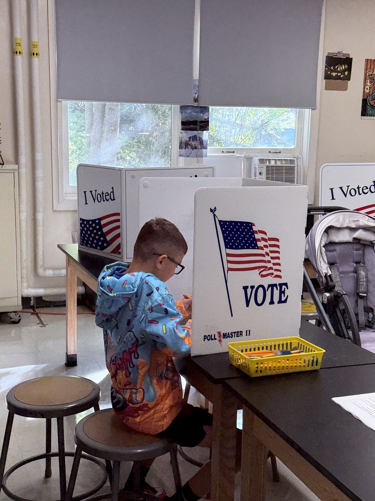 A student sits inside a desktop voting booth wearing a colorful patterned hoodie while filling out a ballot in a classroom setting.