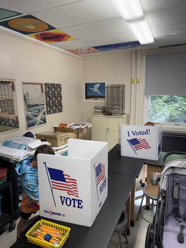 A student in a brightly colored hoodie casts a vote inside a tabletop voting privacy booth in a classroom.