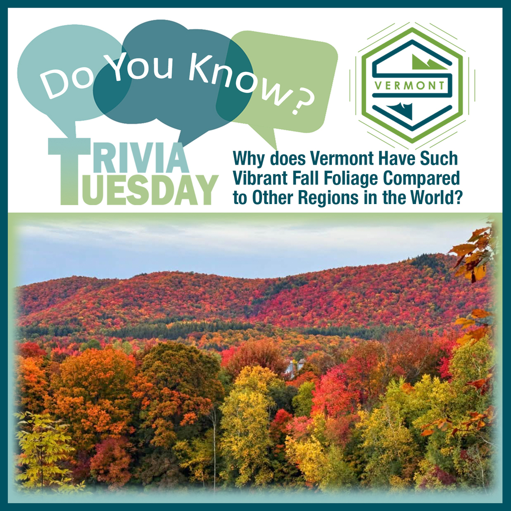 Graphic titled "Trivia Tuesday: Do You Know?" with a mountain landscape covered in colorful red, orange, and yellow autumn foliage. Text reads: "Why does Vermont Have Such Vibrant Fall Foliage Compared to Other Regions in the World?"