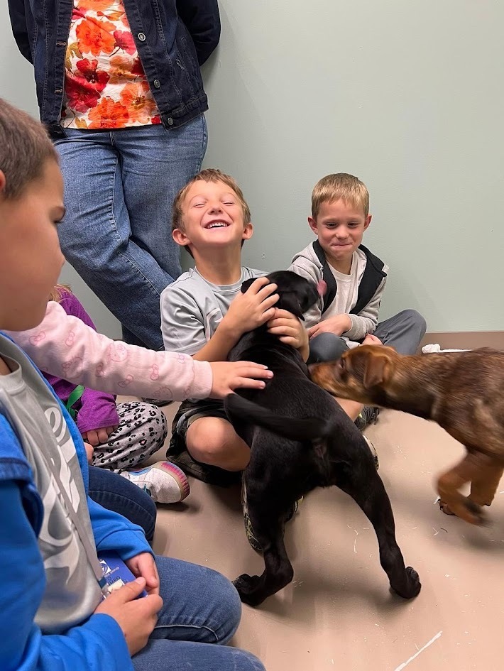 A boy sitting on the floor laughing joyfully as a black puppy climbs up into his arms.