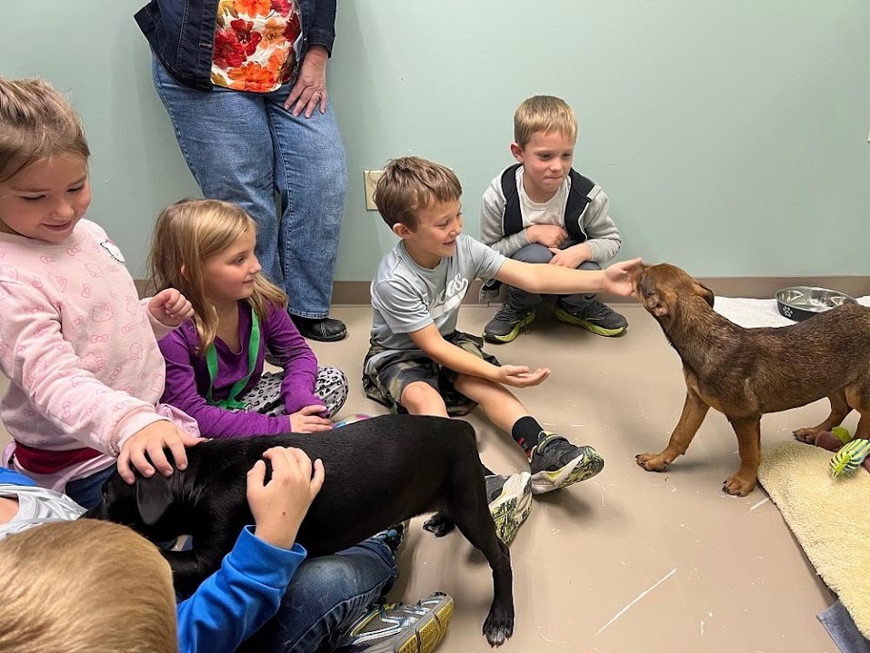 A group of young elementary students sitting on the floor interacting with and gently petting two small puppies.