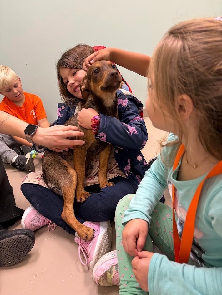 A young girl sitting on the floor smiling while holding a small brown puppy in her lap.