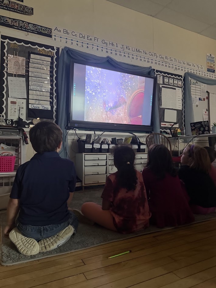 Four students sitting cross-legged on the floor facing an interactive screen showing a video presentation during class.