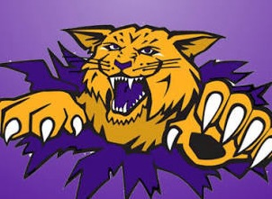 wildcats 