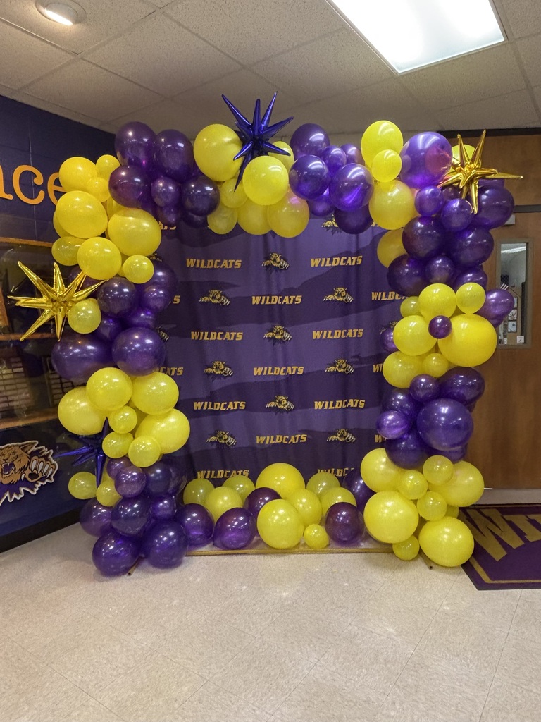 Balloon Arch