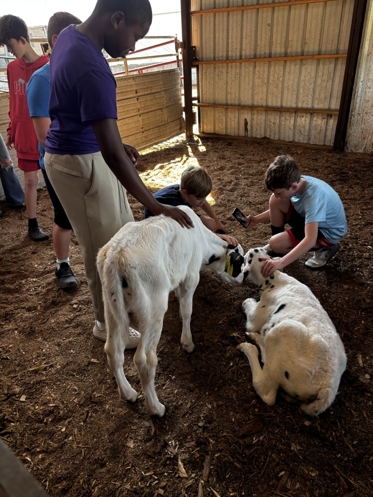 Sixth grade ventured to Shatto Dairy today and enjoyed delicious milk, ice cream, and a tour of the facility.