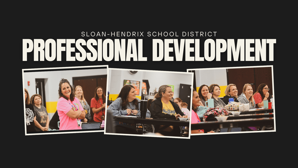 professional development