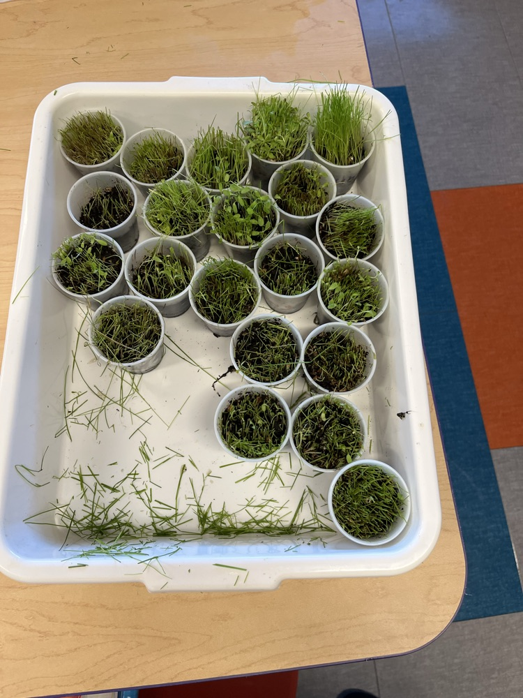 Check out those seeds
