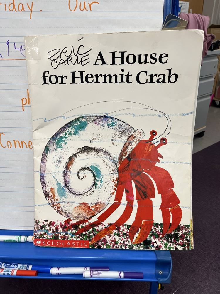 House for hermit crab
