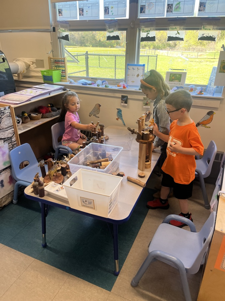 Building habitats for forest animals