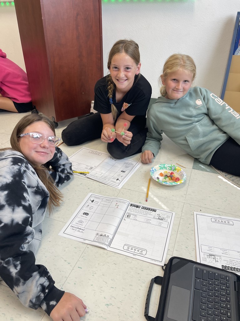 5th grade ogilvie