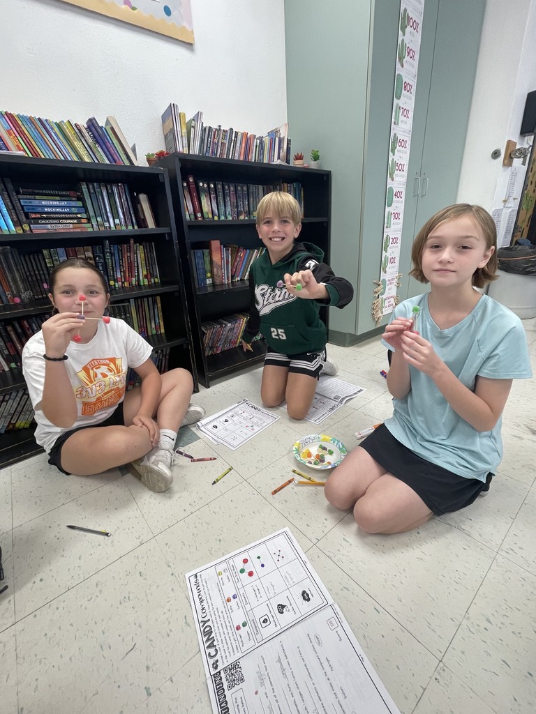 5th grade ogilvie