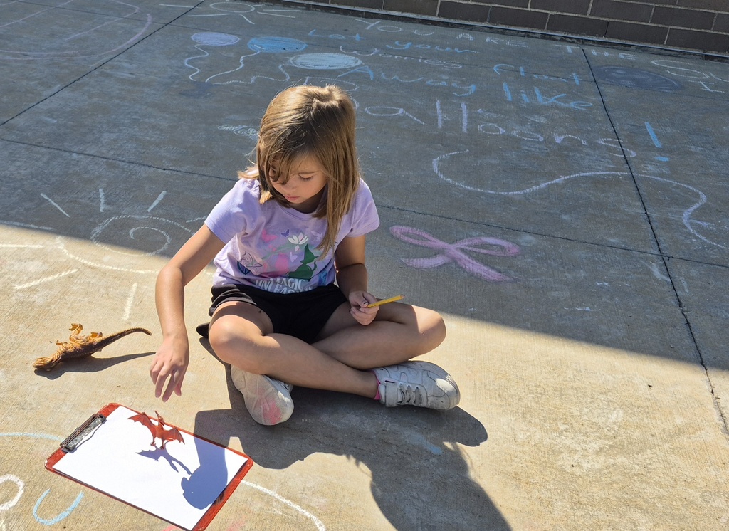 2nd grade shadows