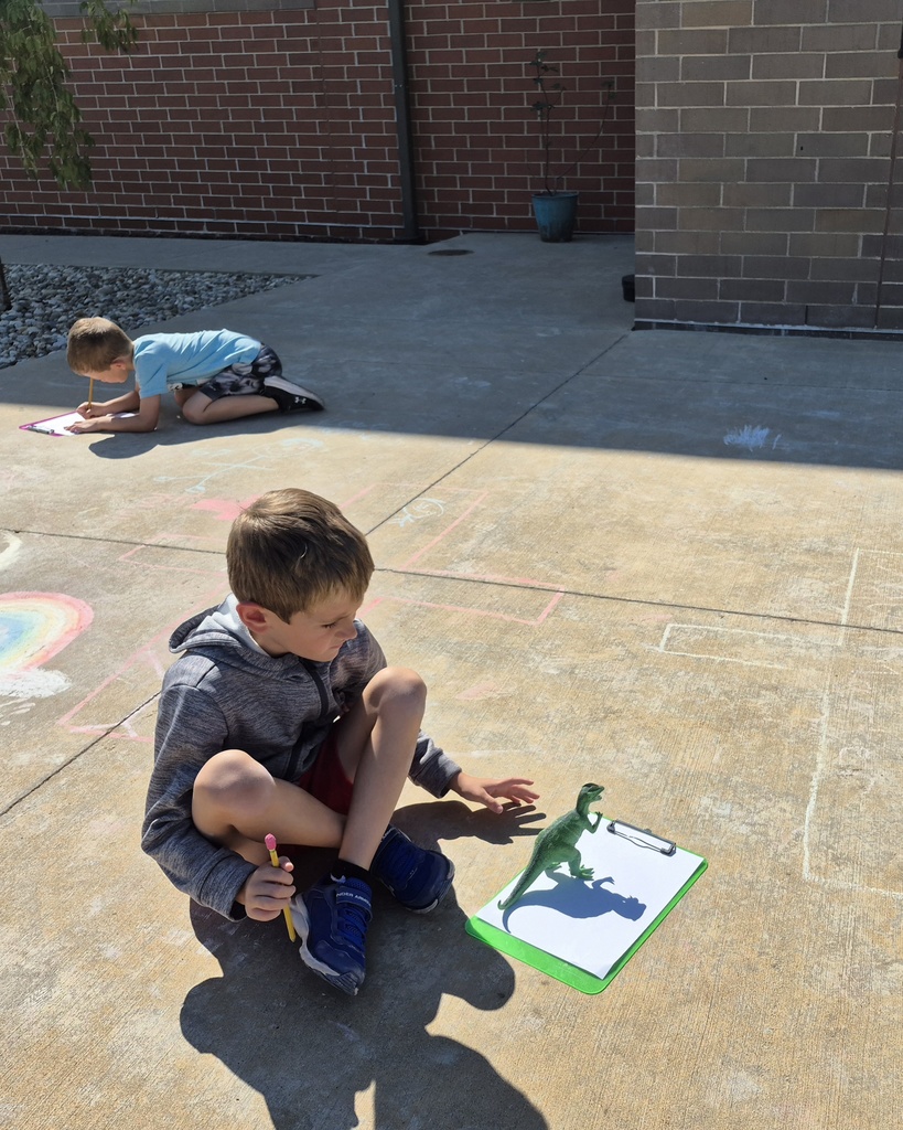 2nd grade shadows