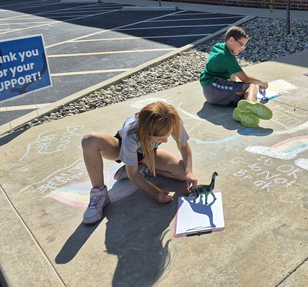 2nd grade shadows