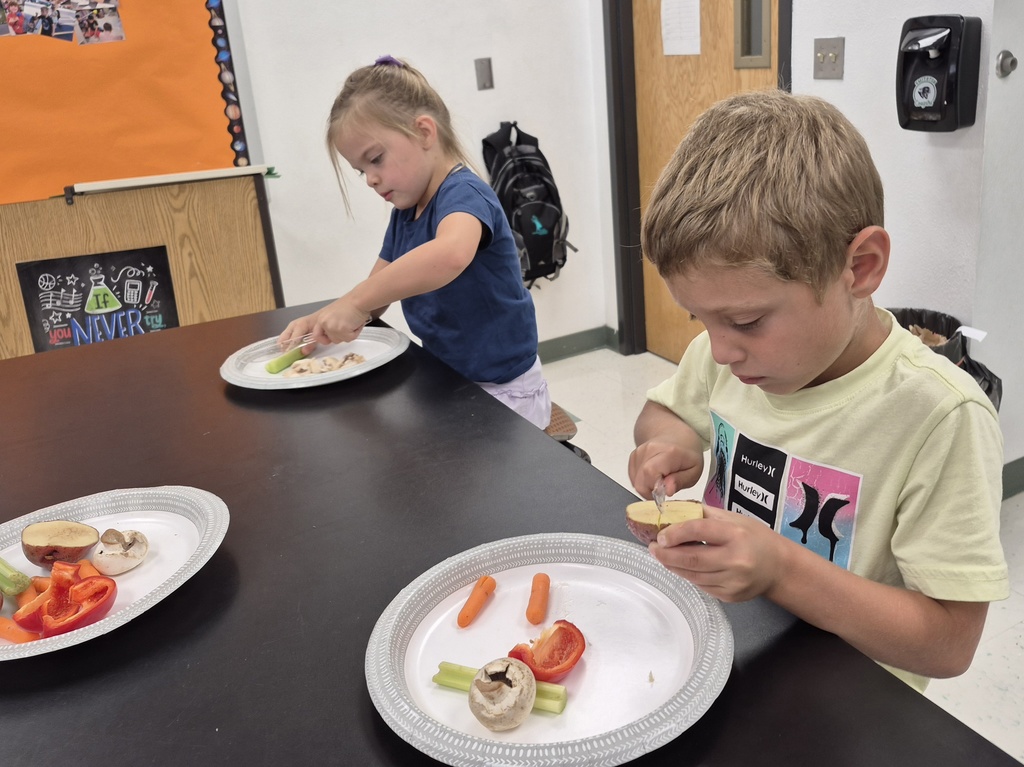 this week in stem