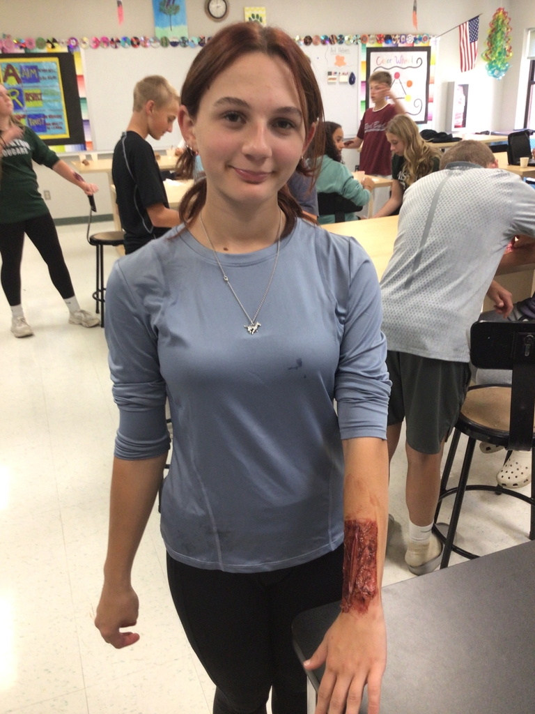 8th grade art class fake wounds